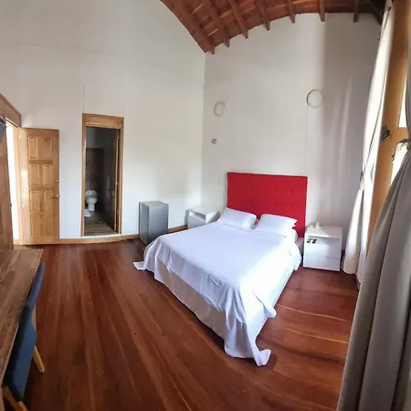 Hotel Cattaleya City-2